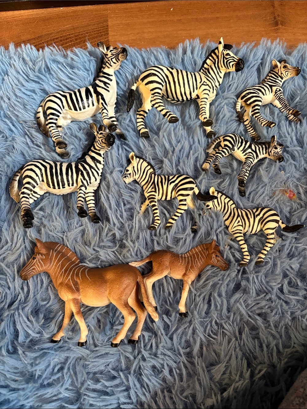 Schleich Zebra lot